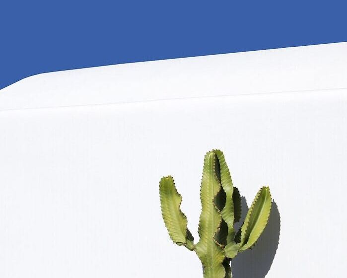 Dreamlike Villas Mykonos