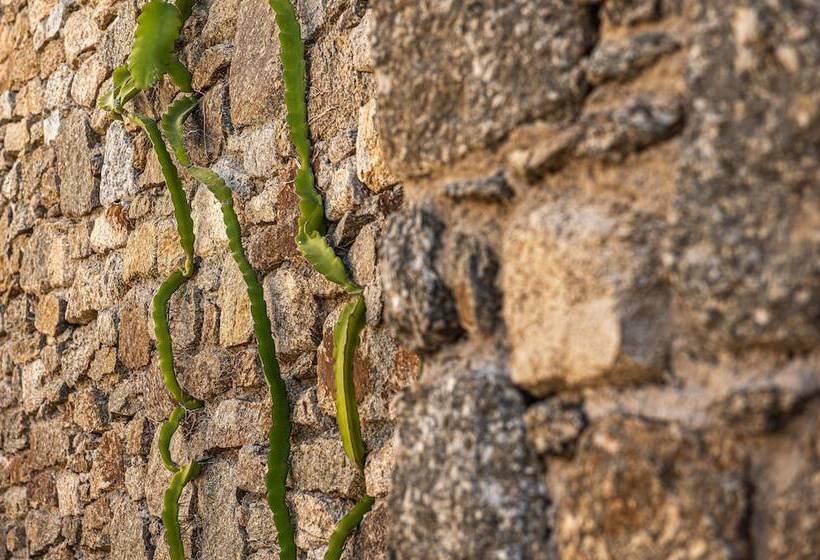 Dreamlike Villas Mykonos