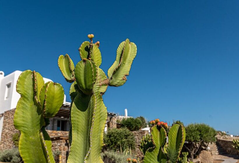 Dreamlike Villas Mykonos