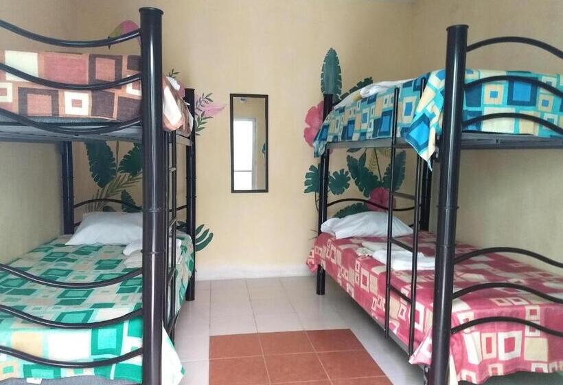 Hostel áabilo Ob
