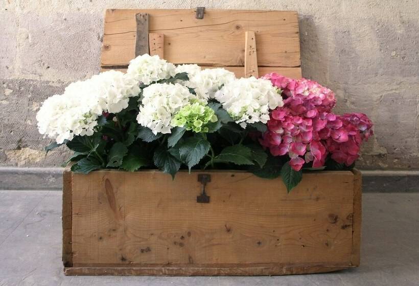 호텔 Aya Kapadokya