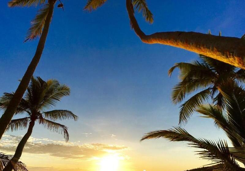 هتل Coconut Beach Resort