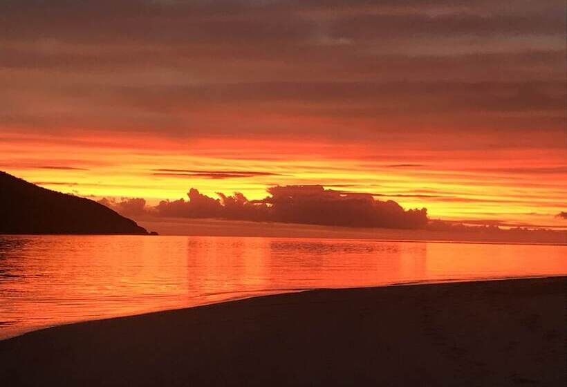 هتل Coconut Beach Resort