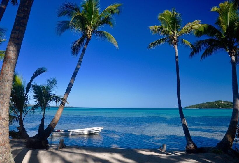 هتل Coconut Beach Resort