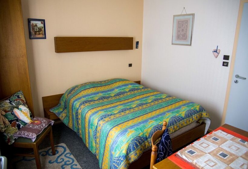 فندق Hôtel De Bâle