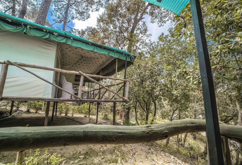酒店 Camp Bliss Ranikhet