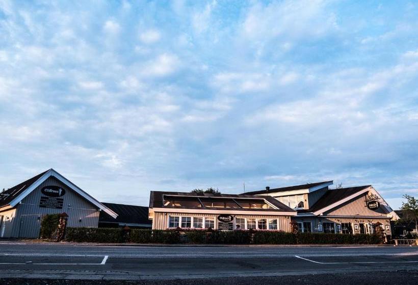 Oldfruen   Rooms & Apartments