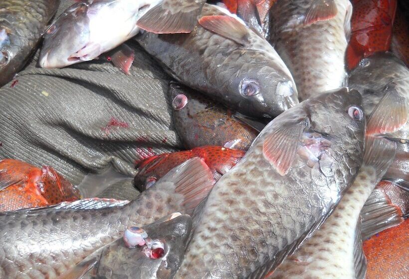 펜션 B&b Le Gourmet