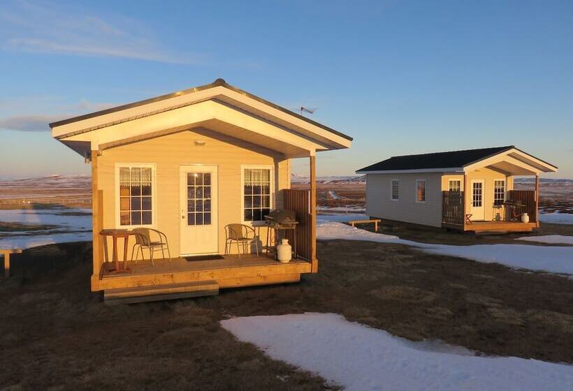 پانسیون Guesthouse Stöng And Cottages