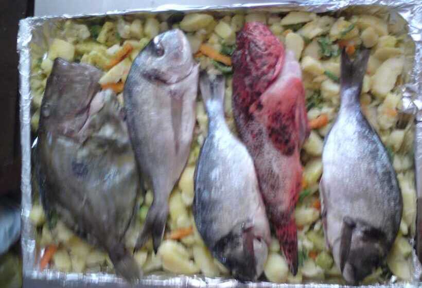 פנסיון Pansion Laguna