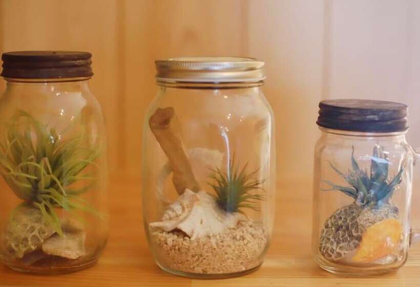 膳宿费 Star Light Terrace Teruya