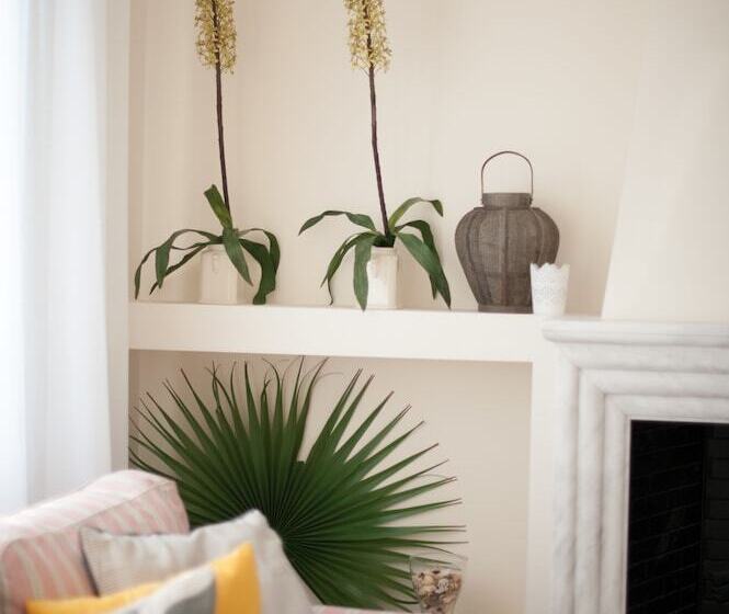 بنسيون Vanessa's Rooms & Apartments