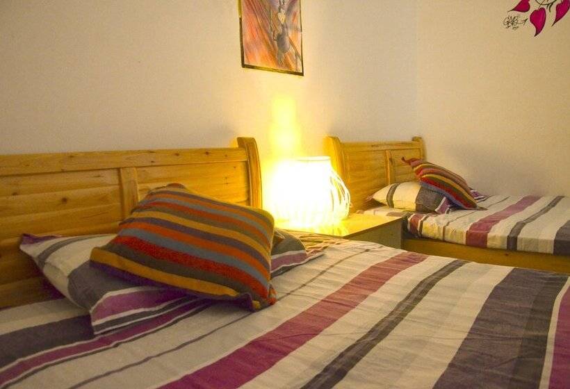 Dali Five Elements Hostel