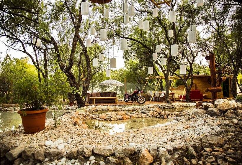 旅馆 Seles Camping  Adults Only