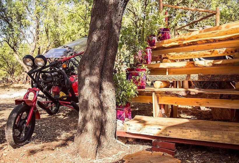 旅馆 Seles Camping  Adults Only