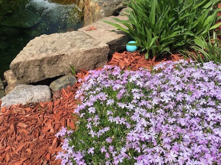 צימר Weller Haus Bed, Breakfast & Event Center