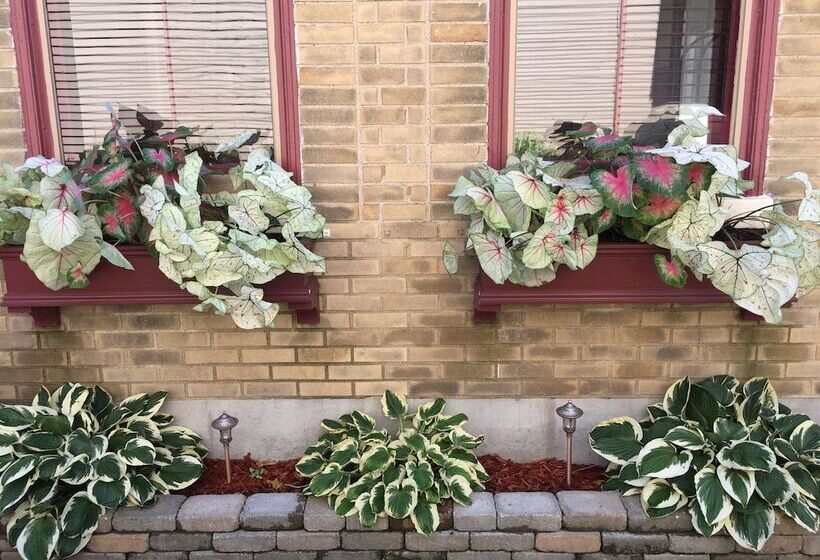 צימר Weller Haus Bed, Breakfast & Event Center