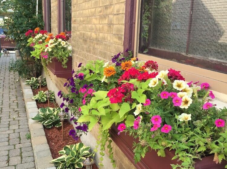 צימר Weller Haus Bed, Breakfast & Event Center