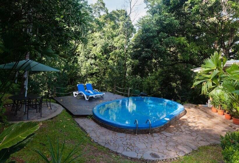 Casa Monos Locos   Portasol Vacation Rentals