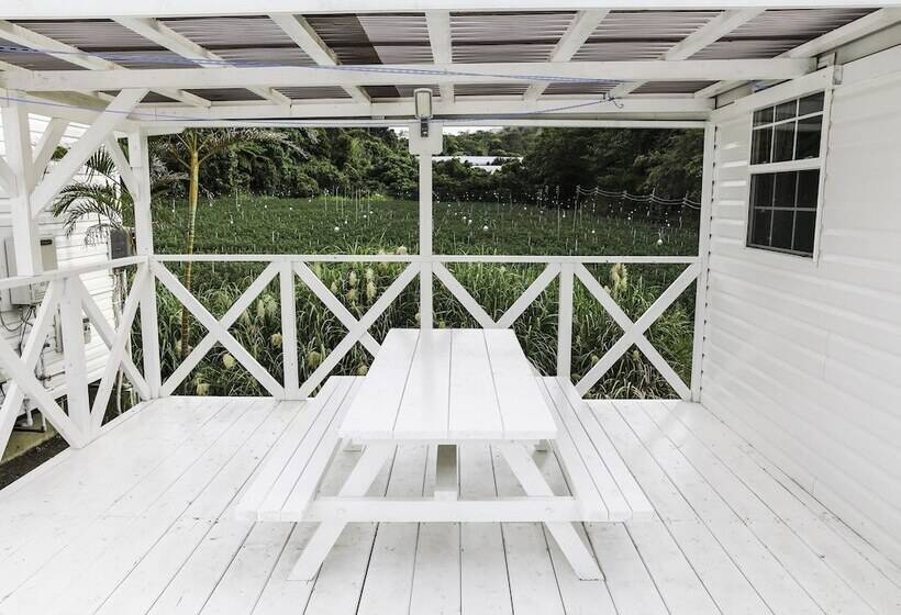 Cottage Star House Nakijin