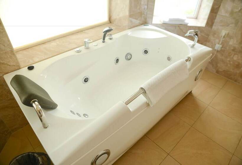 ホテル Alexandriasheremetyevo