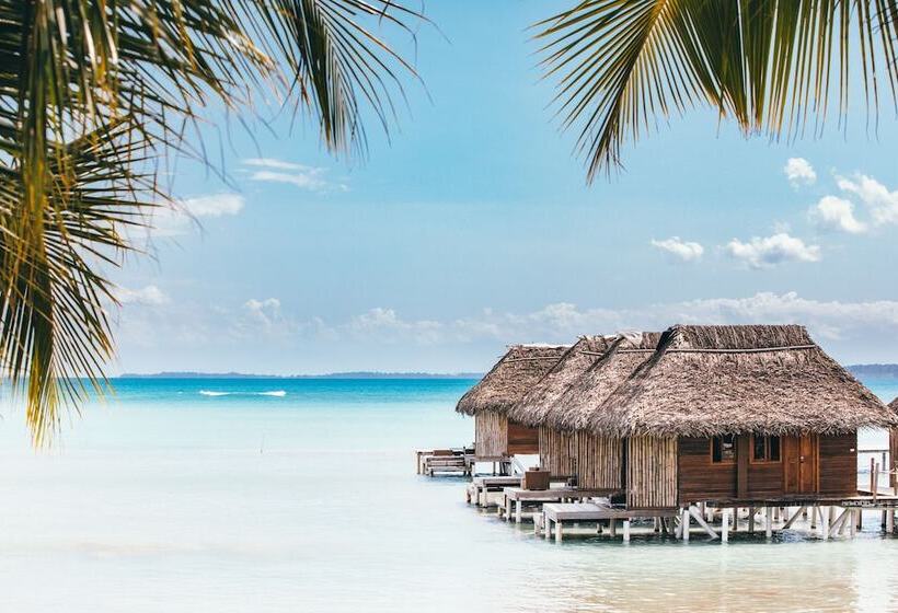 호텔 Azul Paradise Resort