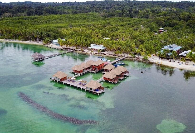 호텔 Azul Paradise Resort