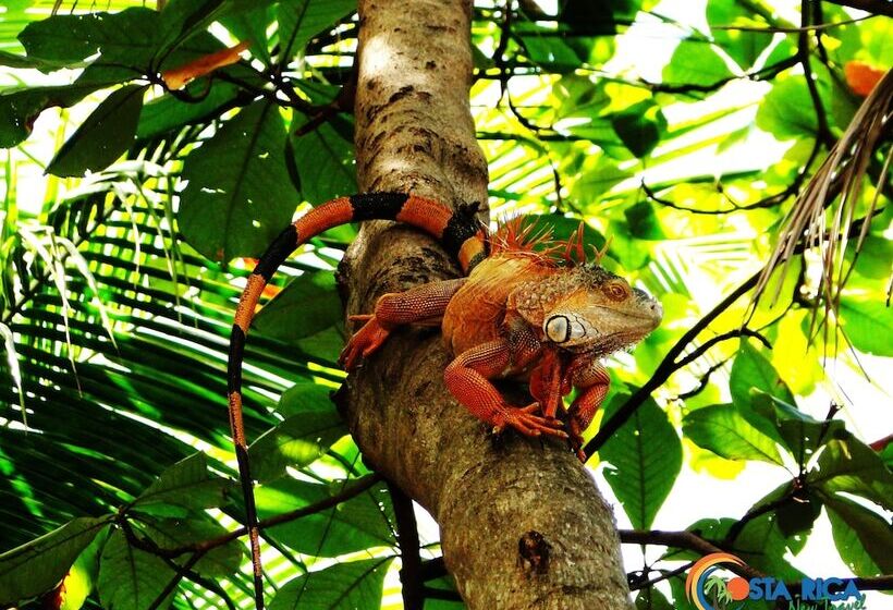 בית מלון כפרי Claudio & Gloria Beach Front