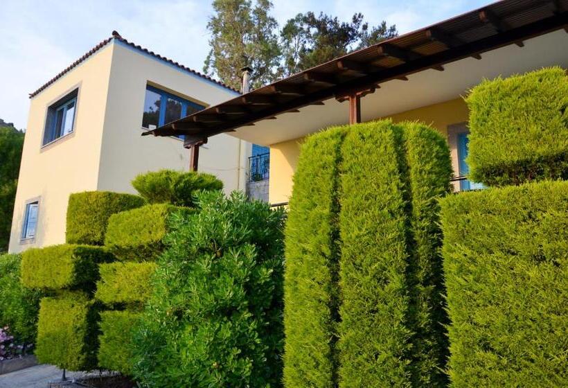 هتل Dina   ξενοδοχείο ντινα