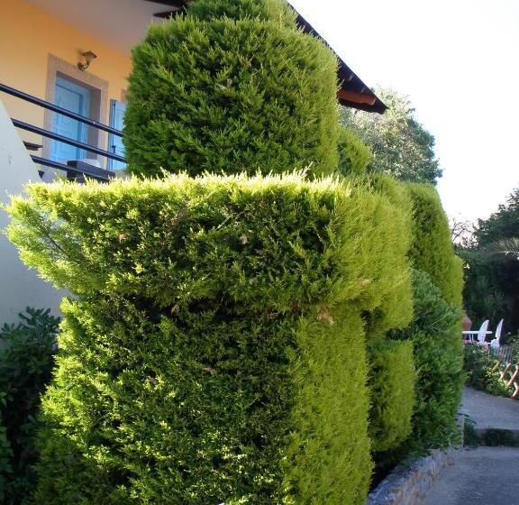 هتل Dina   ξενοδοχείο ντινα