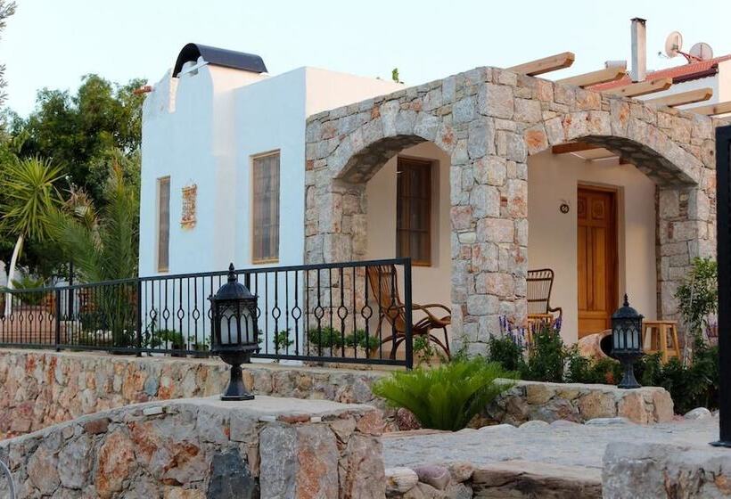 Отель Kaya Guest House