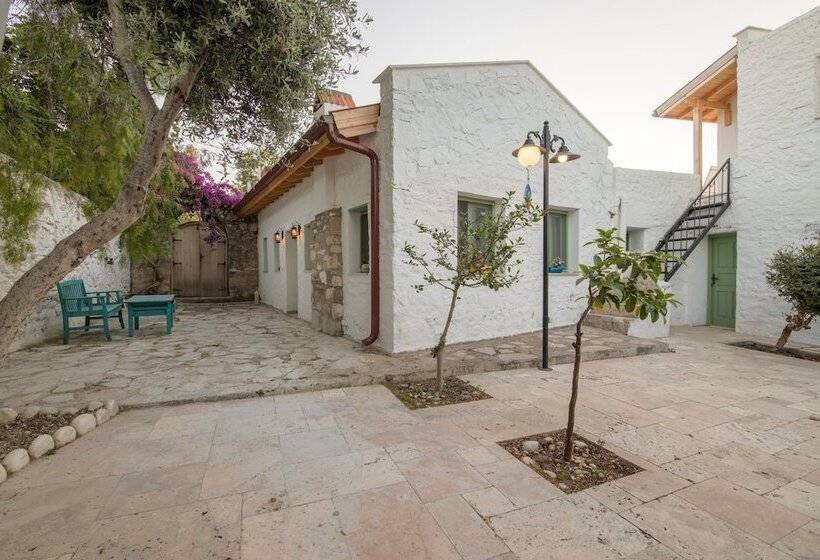 Отель Kaya Guest House