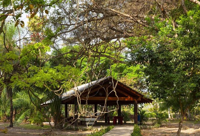 فندق Porto Jofre Pantanal