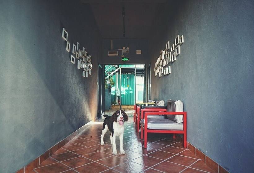 Lotus Bloom Youth Hostel