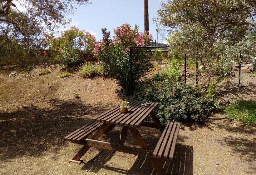 Molivos View Studios