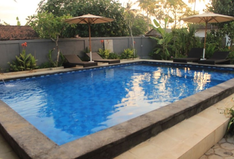 פנסיון Hokita Homestay