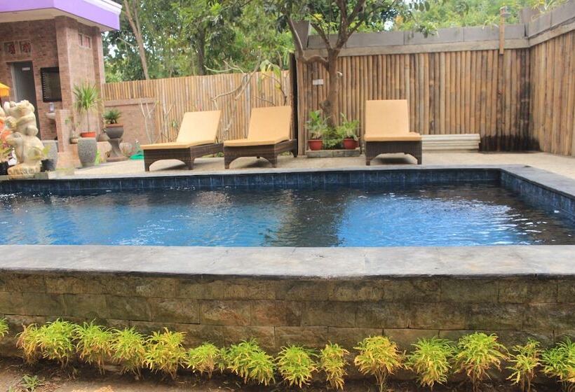 פנסיון Kailash Garden Homestay