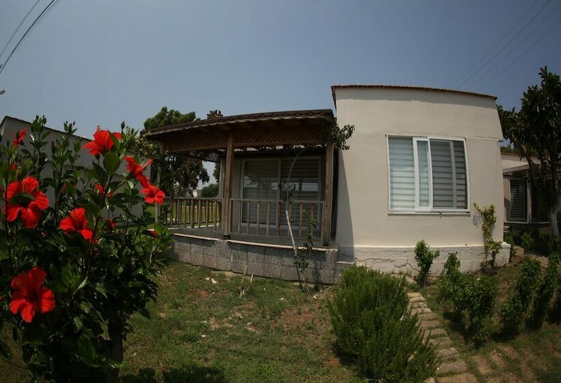 אתר נופש Queenaba Beach