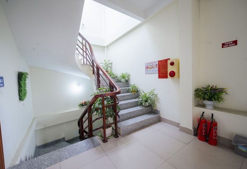 تختخواب و صبحانه Family Transit 2