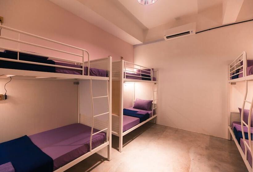 Bed Attitude Guesthouse Langkawi   Hostel