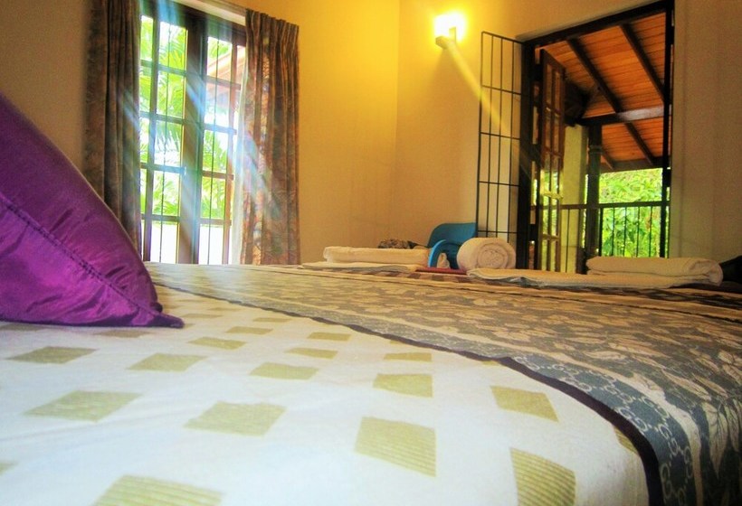 Ceylon Hostel Colombo Int Airport