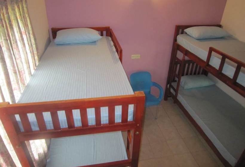 Ceylon Hostel Colombo Int Airport