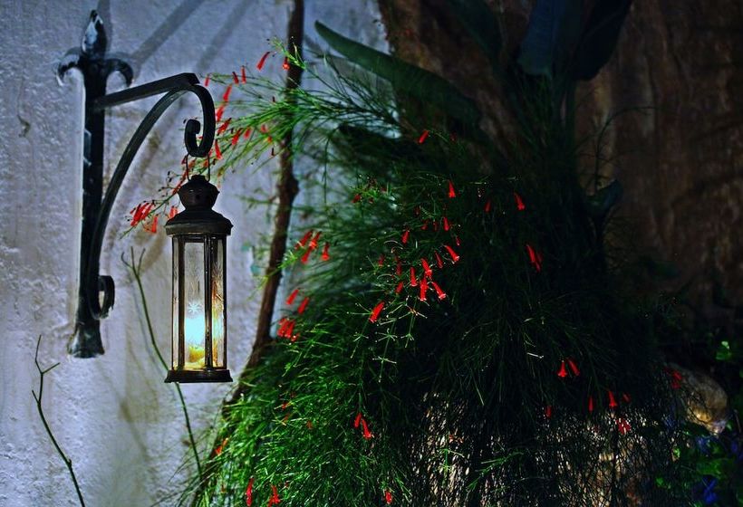 فندق Antique Celtik House