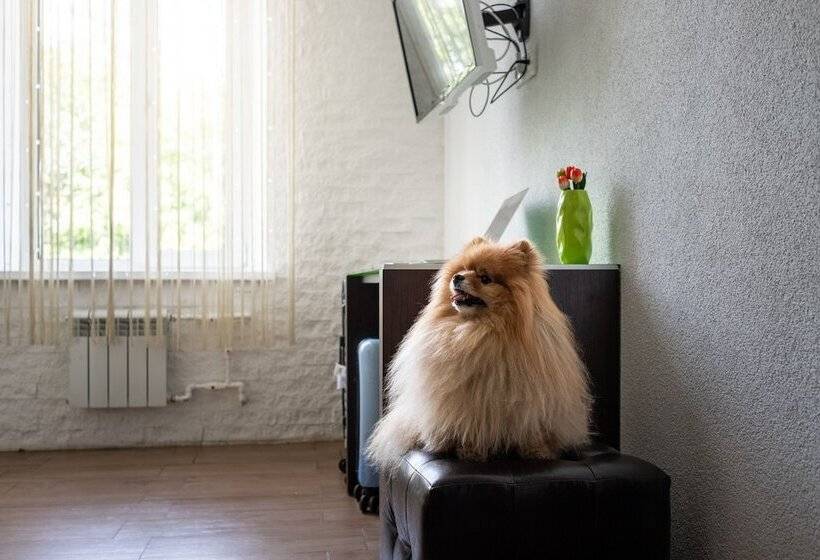 هتل Art Grand Victoria