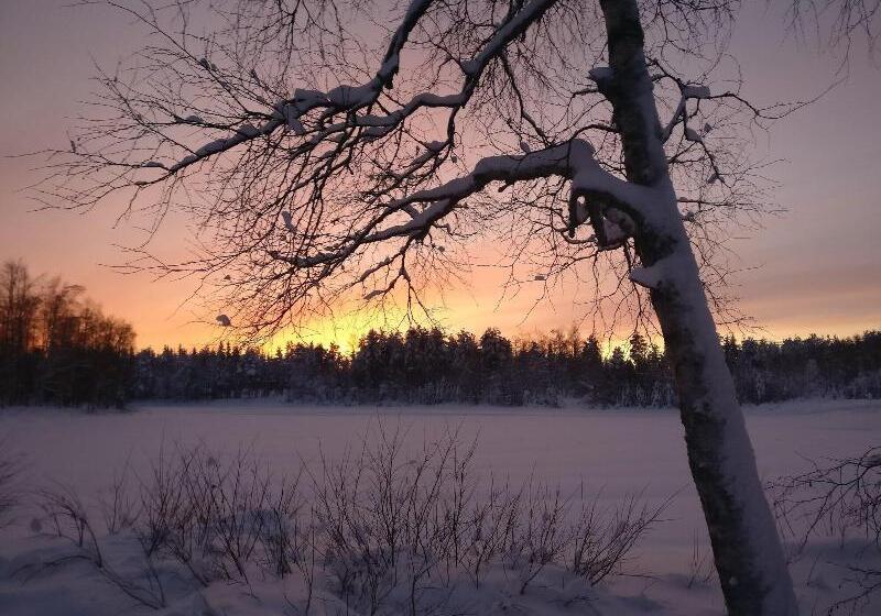 בית מלון כפרי Li Sodankylä