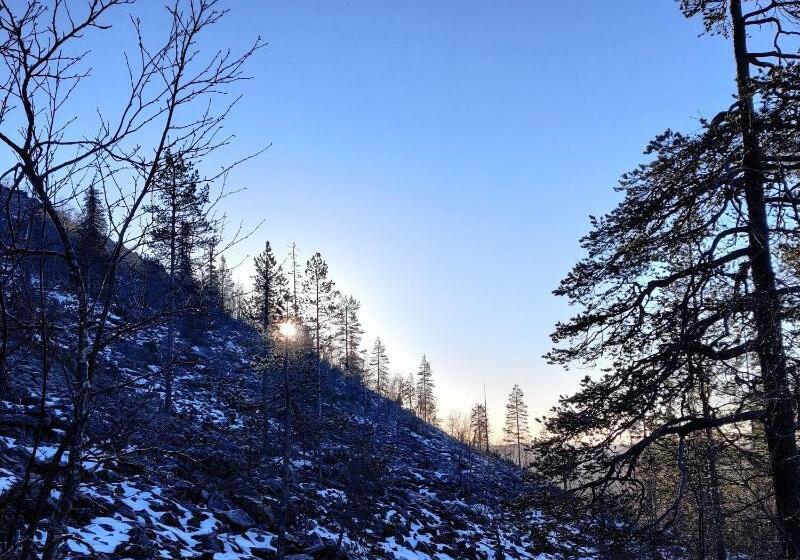 בית מלון כפרי Li Sodankylä