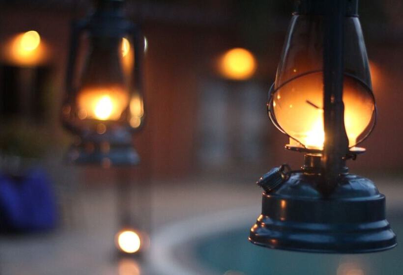 Отель Seven Sky Clarks Exotica