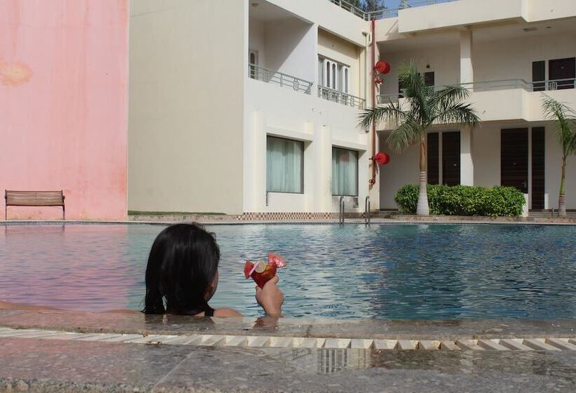 Отель Seven Sky Clarks Exotica