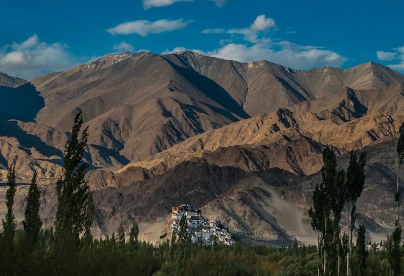 酒店 The Nature Residency  A Riverside Resort In Leh