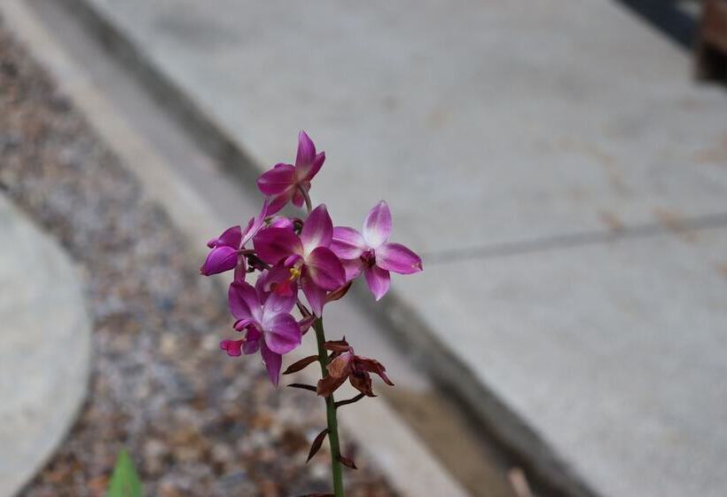 酒店 The Picturebook Guesthouse